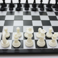 Фотография Магнитные шахматы 2 в 1 - шахматы, шашки 25 см [=city]